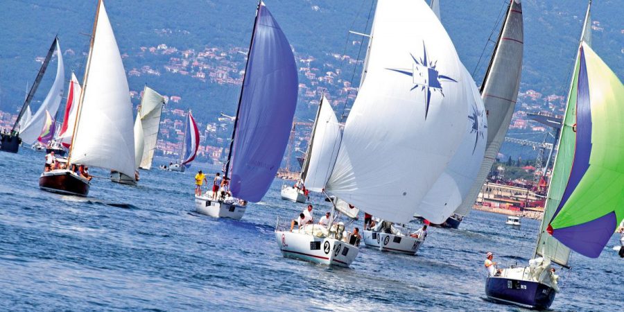 corporate sailing regatta